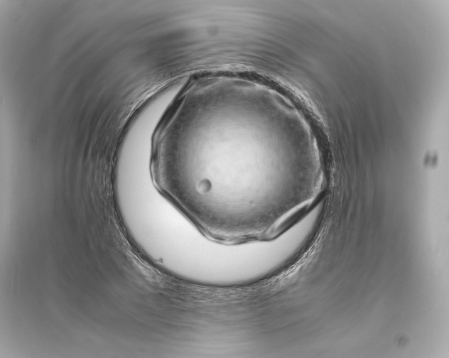 X0000094820881200711301627