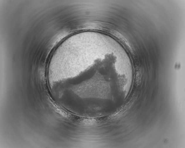 X0000094820882200711301627