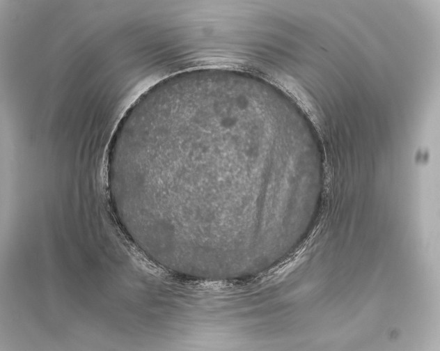 X0000094820883200711301627