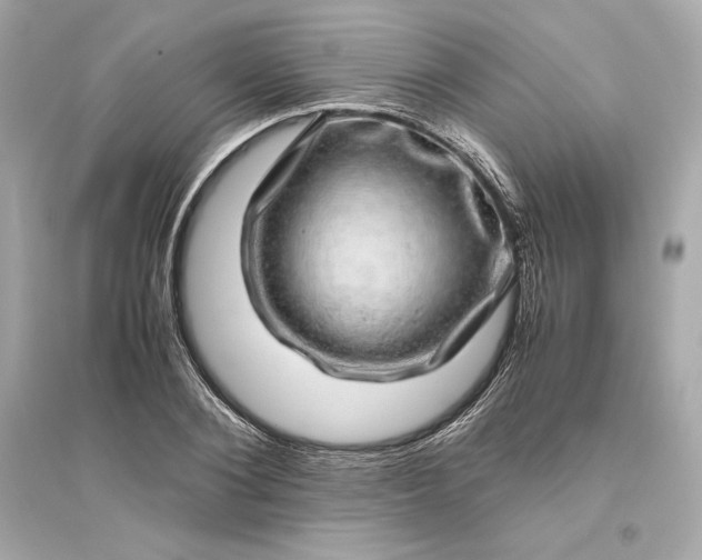 X0000094820884200711301627