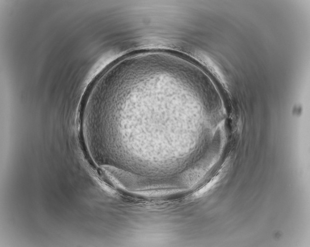 X0000094820885200711301627