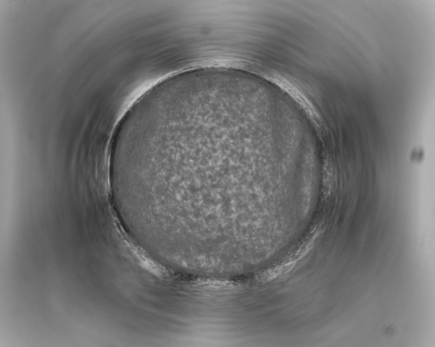 X0000094820886200711301627