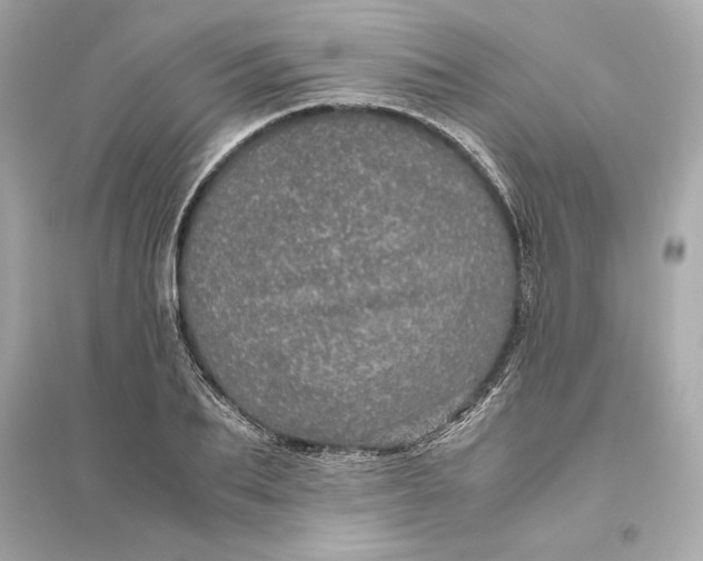 X0000094820887200711301627