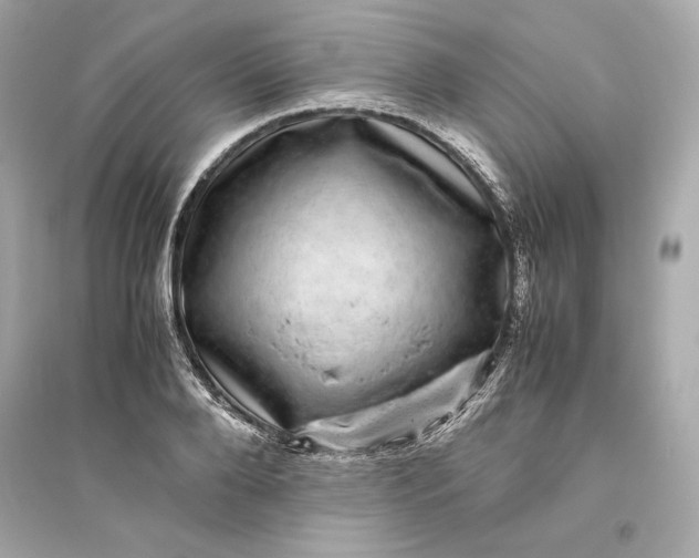 X0000094820888200711301627