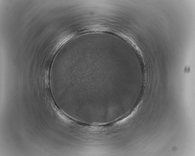 X0000094820889200711301627