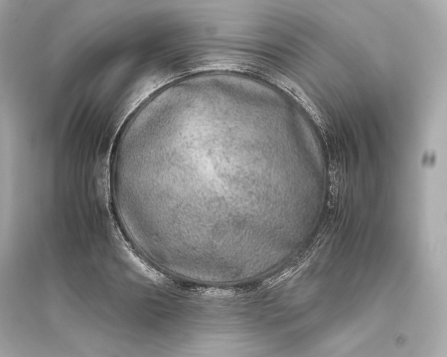 X0000094820890200711301627