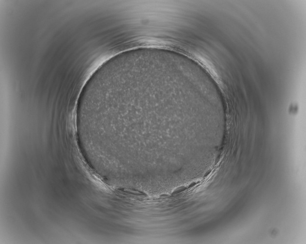 X0000094820891200711301627