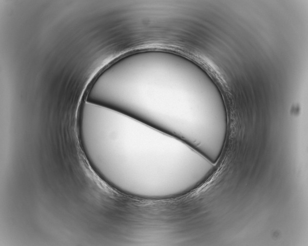 X0000094820892200711301627