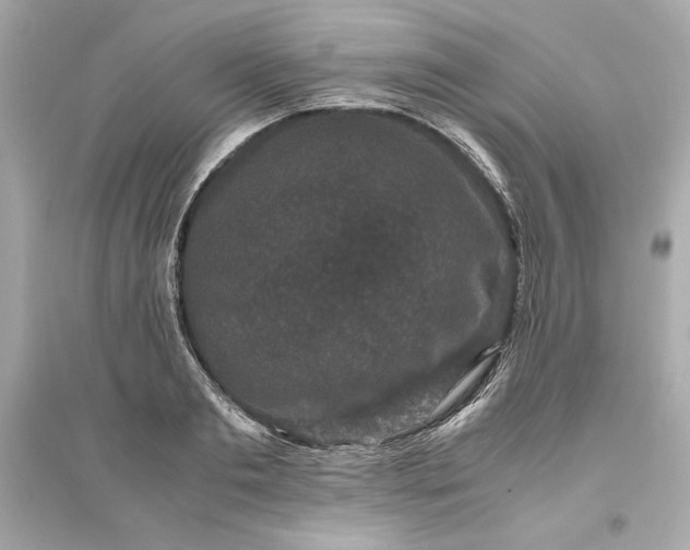 X0000094820893200711301627