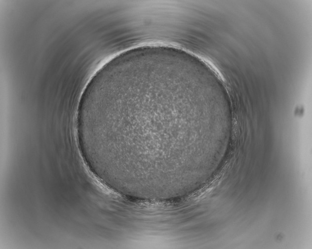 X0000094820895200711301627