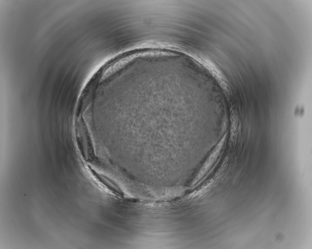 X0000094820896200711301627