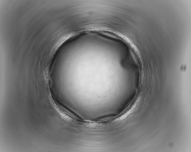 X0000094820897200711301627