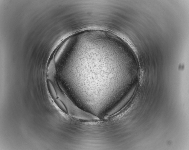 X0000094820898200711301627