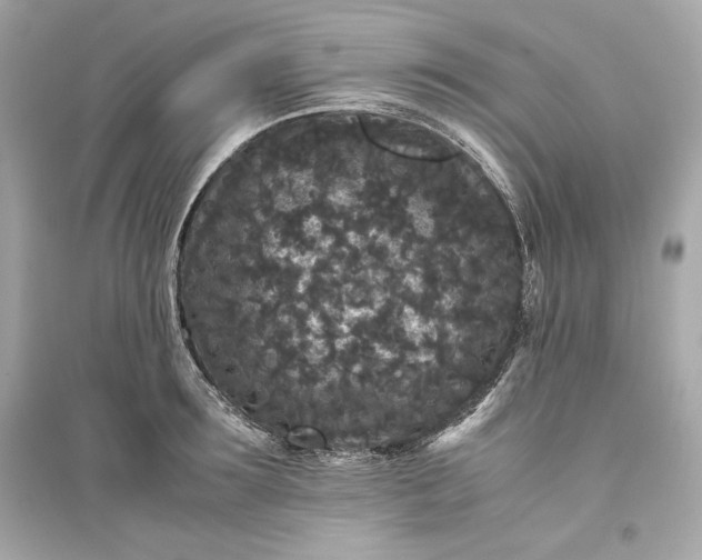 X0000094820899200711301627