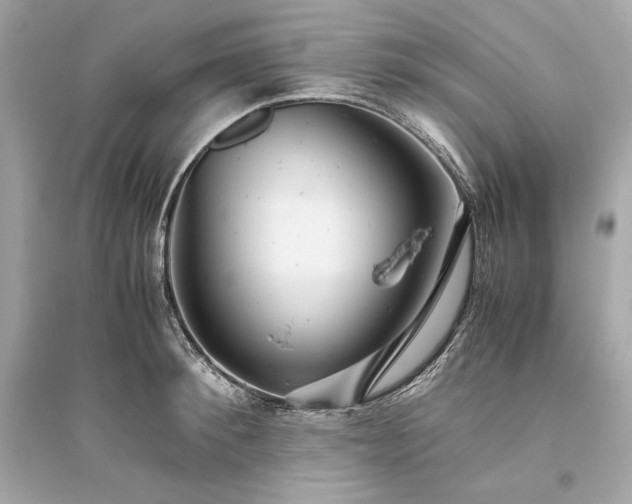 X0000094820900200711301627