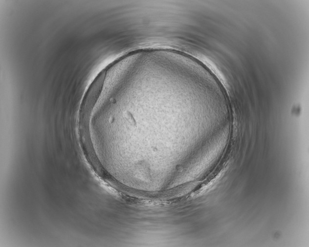 X0000094820901200711301627