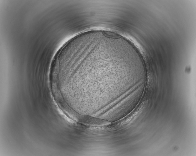 X0000094820902200711301627