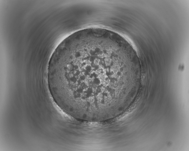 X0000094820903200711301627