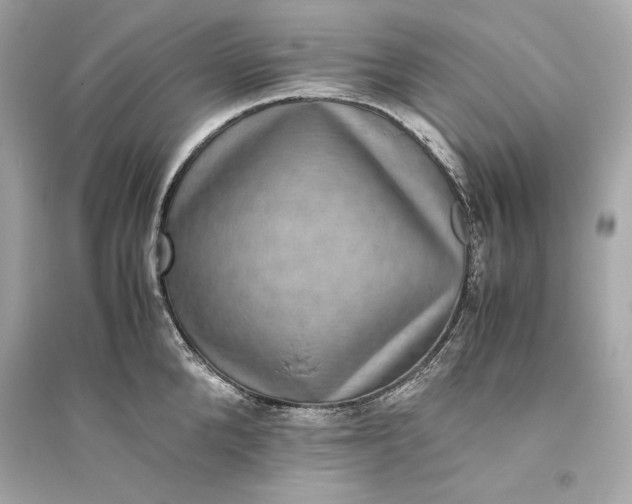 X0000094820904200711301627