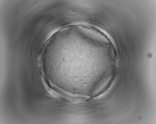 X0000094820905200711301627