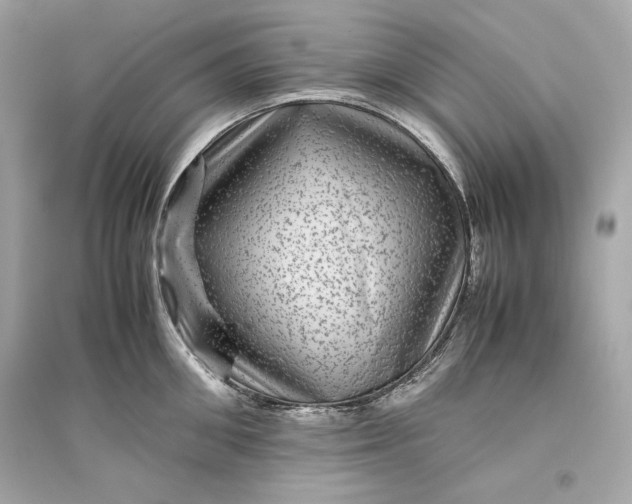 X0000094820906200711301627