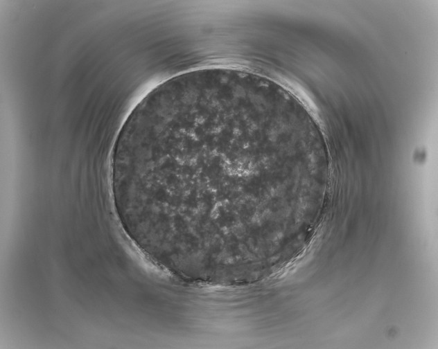 X0000094820907200711301627