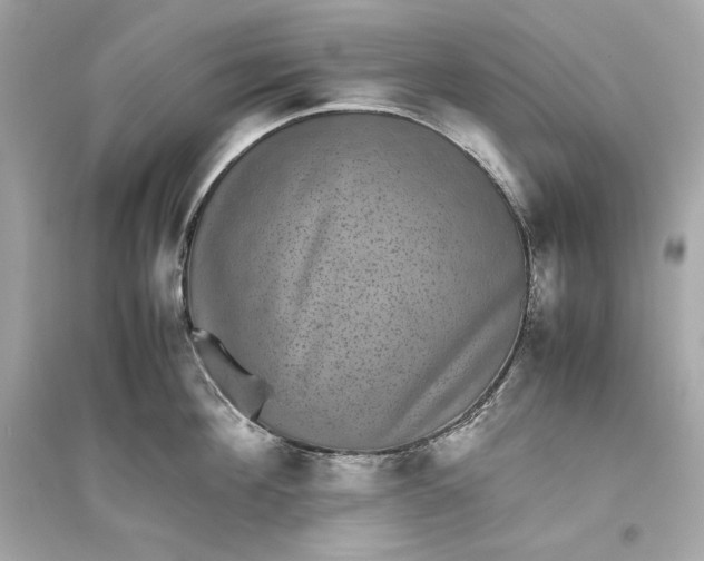 X0000094820908200711301627