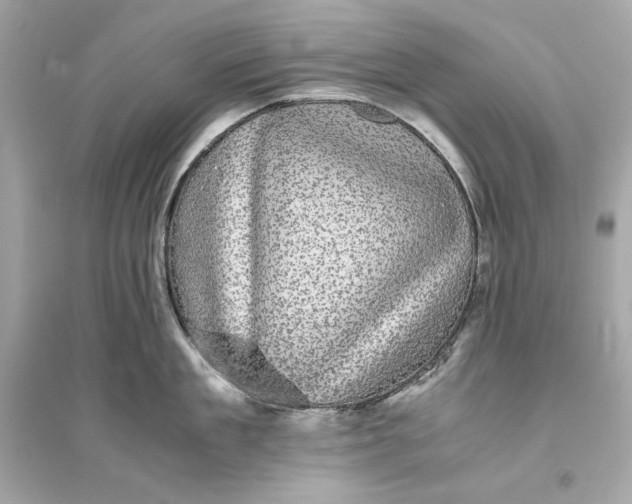 X0000094820909200711301627