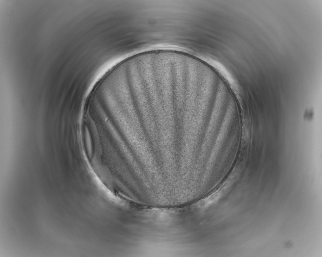 X0000094820910200711301627