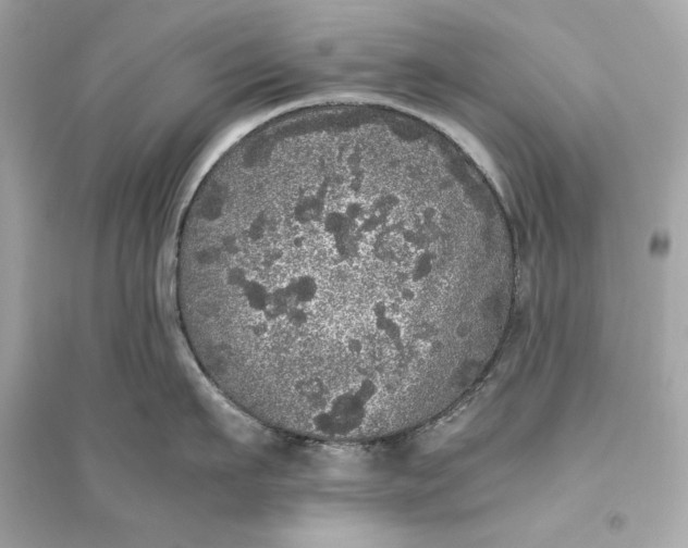 X0000094820911200711301627