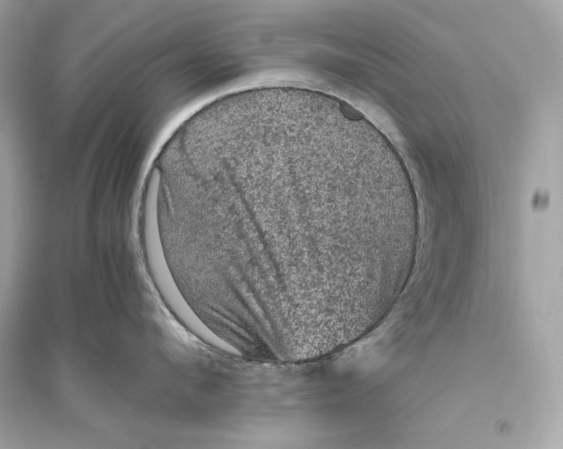 X0000094820912200711301627