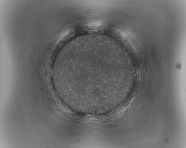 X0000094820913200711301626