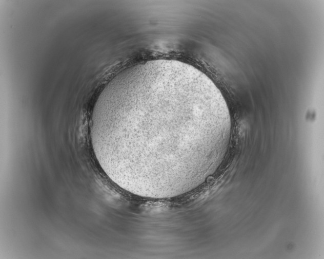 X0000094820914200711301626