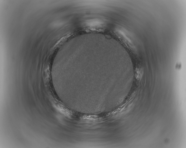 X0000094820915200711301626