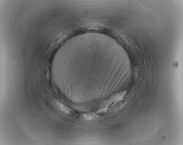 X0000094820916200711301626