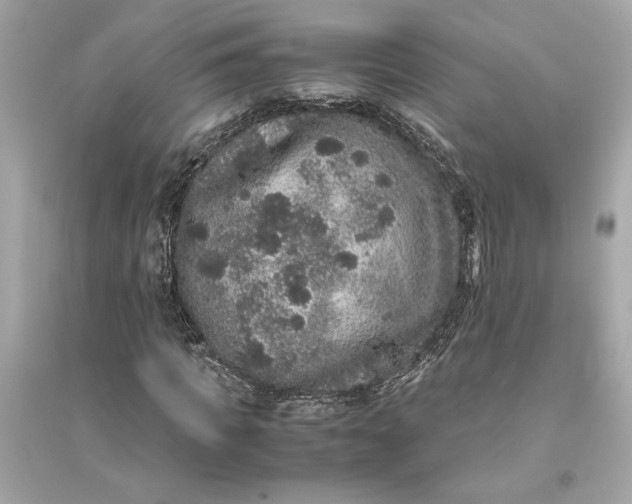 X0000094820917200711301626