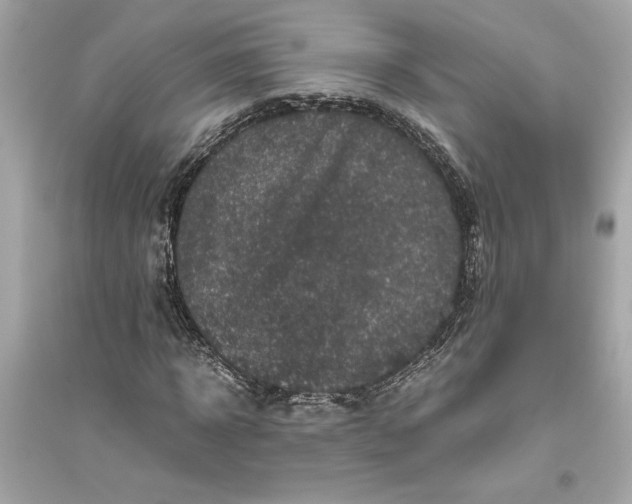 X0000094820918200711301626