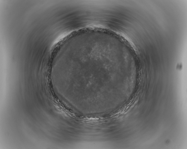 X0000094820919200711301626