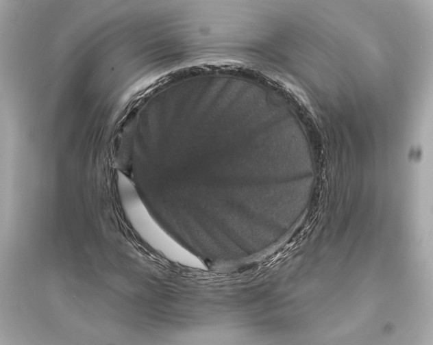 X0000094820920200711301626