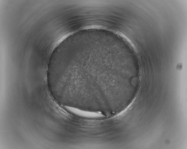 X0000094820921200711301626