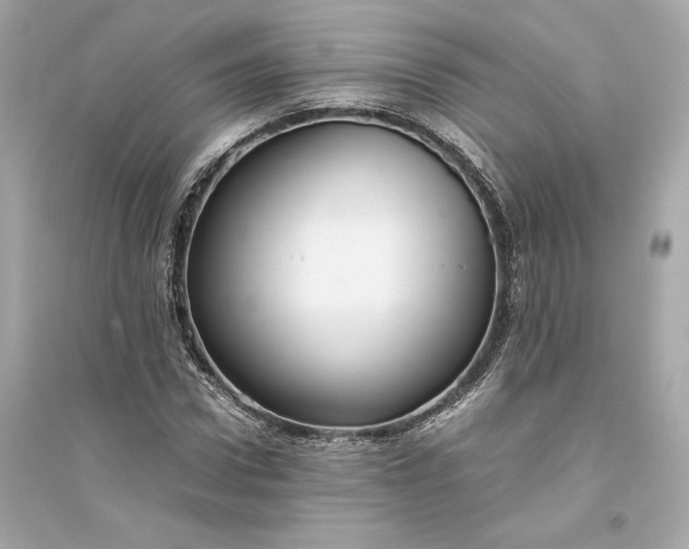 X0000094820922200711301626