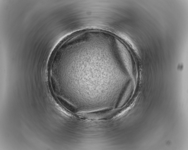 X0000094820924200711301626