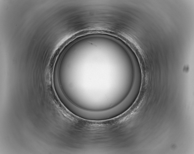 X0000094820925200711301626