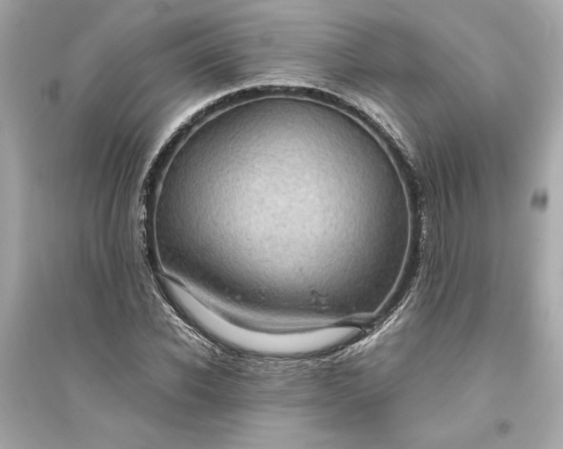 X0000094820926200711301626