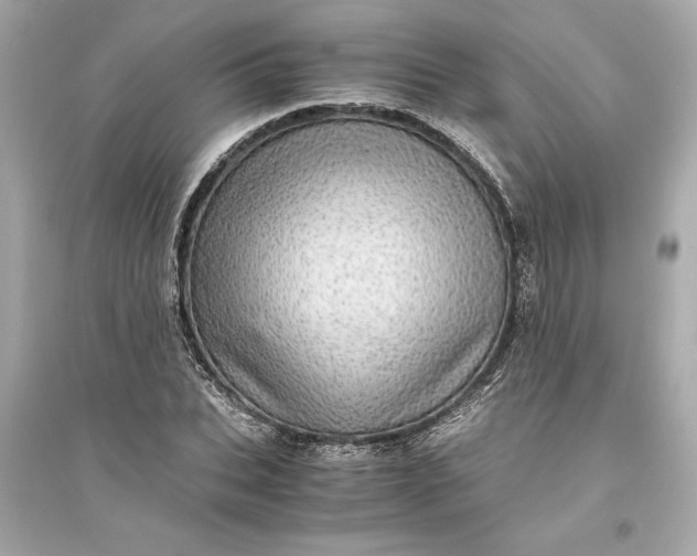 X0000094820927200711301626