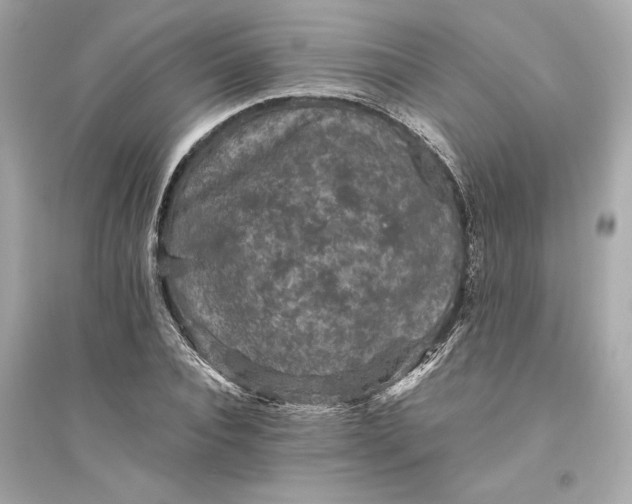 X0000094820928200711301626