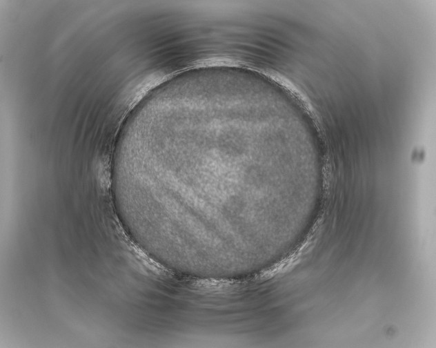 X0000094820929200711301626