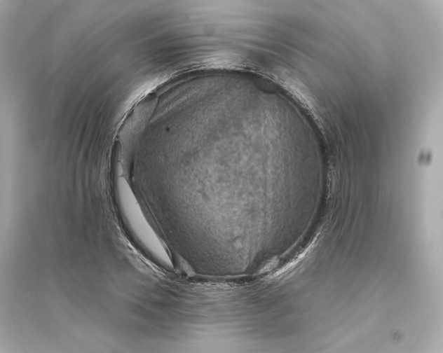 X0000094820930200711301626