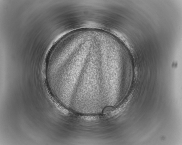 X0000094820931200711301626