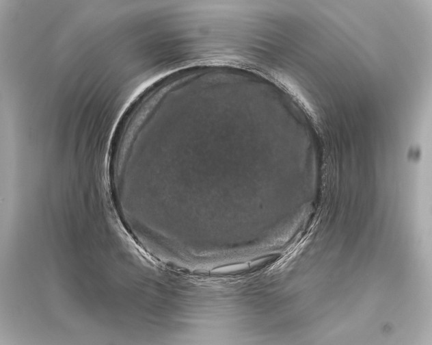 X0000094820932200711301626